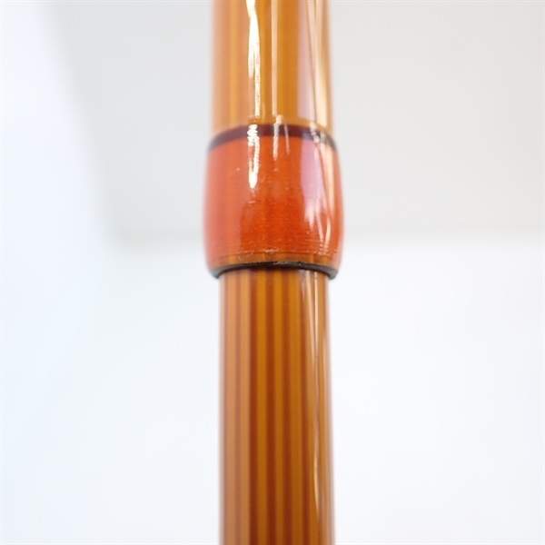 鯰人ＤＮＡＺ－６７Ｍ－２